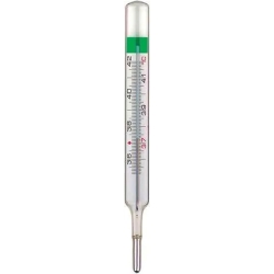 environmentally friendly mercury-free clinical thermometer