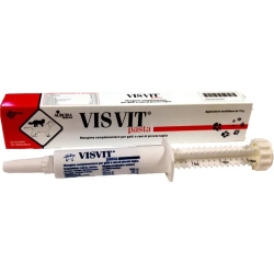 Visvit Pasta with Syringe - Supplement for dogs and cats 15 g