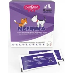 Nephrin - Privacy renal function and urinary tract 30 sachets