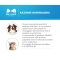 Oftalid - Ophthalmic Ointment for veterinary use 20 ml