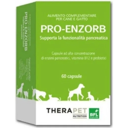 Pro Enzorb 60 Capsules - Supplement for pancreatic function