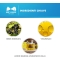 Ribes Pet - Support of skin function  in syringe 30 g