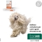 Glupacur - joint health complement 30 oral sticks