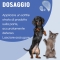 Iroxil K - tissue regeneration gel for dogs and cats 50 Ml