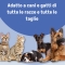 Iroxil K - tissue regeneration gel for dogs and cats 50 Ml