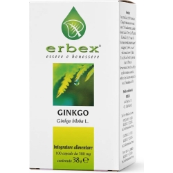 Ginkgo Biloba - Wellness Supplement 100 Capsules
