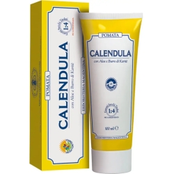 Calendula - Ointment for scalding and cracking 100 ml