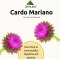 Cardo Mariano ET - Liver Health Supplement 30 ml