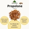 Propolone - Liver Health Supplement Bottle 100 ml