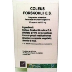 Coleus forskohlii - digestive health supplement 30 capsules
