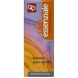Ginger Essential Oil 10 ml