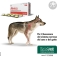 Alevica - complementary food for dogs and cats 40 Chewable tablets