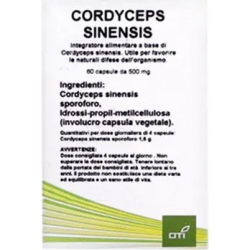 Cordyceps Sinensis - wellness supplement 60 capsules