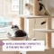 Feliway Friends Recharge 48 Ml