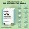 Equilibria Vet - Complementary Mangine for relaxation 60 Tablets