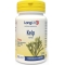 Kelp - Thyroid Support Supplement 180 tablets