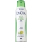 fresh therapy - 48h protection spray deodorant 150 ml