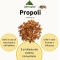 Propolis Total Extract - immune system supplement  30 ml