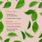 Green Tea Konjac Sponge