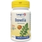Boswellia 60 Veg Capsules - supplement for healthy joints