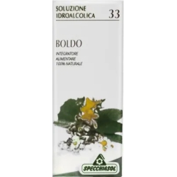 Boldo 33 - hydroalcoholic solution 50 ml
