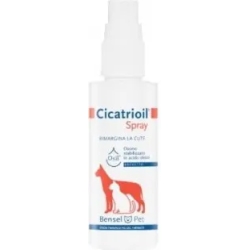 Cicatrioil - Spray for ulcers and bedsores 50 ml