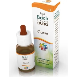 Gorse 13 - Bach Flower 10 ml