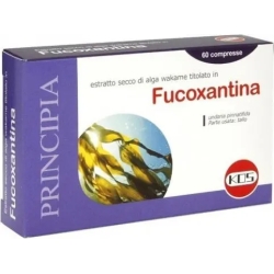 Fucoxantina - Fat burning supplement 60 tablets