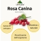 Rosehip Total Extract 30 ml