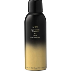 Impermeable Anti-Humidity - Finishing Spray 200 ml