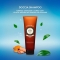 Sandalwood - Shower the Kashmir Sandalwood Shampoo 250ml