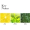 Green Tea - Eau de toilette for woman 30 ml spray