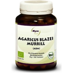 Agaricus Abm - Wellness Supplement 93 Capsule