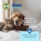 Aloeplus Dermo Spray 100 ml - Skin protection for dogs and cats
