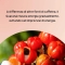 Guarana - Mood and Sleep Supplement 100 capsules