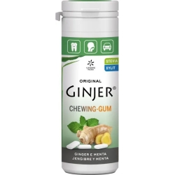 Ginjer - Ginger and mint chewing gums 30 g