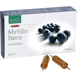 Mirtillo nero - antioxidant supplement 20 vials of 15 ml