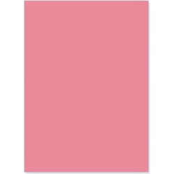 Bristol 200 Seal T3 - 20 Cards 35 x 50 cm Rosa