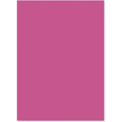 Bristol 200 Seal T3 - 20 Cards 35 x 50 cm Cyclamen