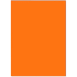 Bristol 200 Seal T3 - 20 Cards 35 x 50 cm Orange