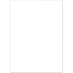 Bristol 200 Seal T3 - 125 Cards 35 x 50 cm White