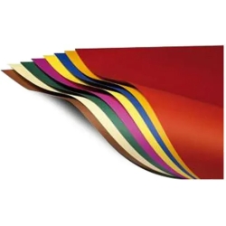 Bristol 220 g/m2 - 100 Cards 35 x 50 cm Assorted Colors