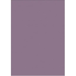 Prisma 220 G/M2 - 10 cardstock color Violet size 70 cm X 100 cm