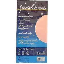 Special Event - 10 120 g/m2 bags Rose 11 x 22 cm