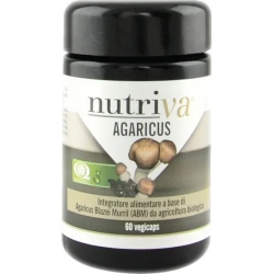 Agaricus - Fat Burners Supplement 60 Capsule