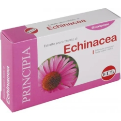 Echinacea Dry Extract - Lung health supplement 60 Tablets
