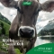 Molkosan Original - Intestinal well-being supplement 500 ml