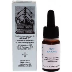 Quintessenza Q07 Eucalipto - Lung Health Supplement 10 ml
