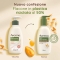 Daily Moisturizing - Body Cream Yogurt Apricot Honey 300 ml