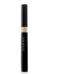 Steminal Concealer N.06